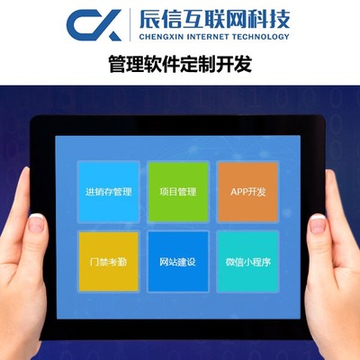 辰信互聯(lián)網(wǎng)科技 專業(yè)企業(yè)軟件開發(fā)，驅(qū)動(dòng)數(shù)字化未來