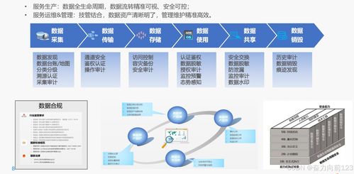 Java系統(tǒng)數(shù)據(jù)安全與治理 數(shù)據(jù)處理與存儲支持服務(wù)的實踐與策略